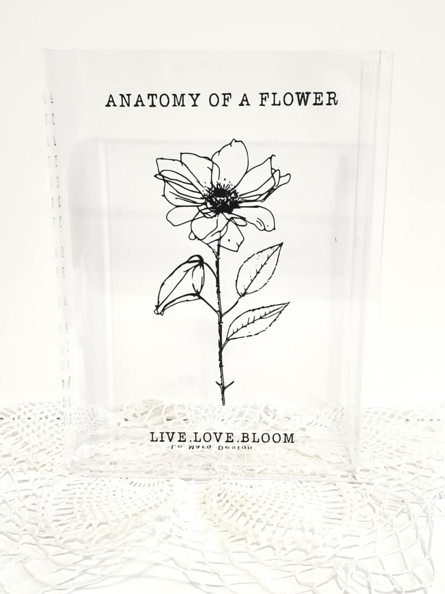 Acrylic Book Vases – Faith & Floral Collection