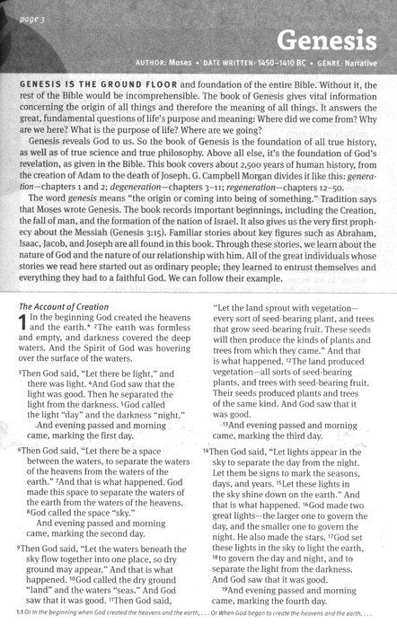 NLT New Believer's Bible: First Steps for New Christians, softcover
