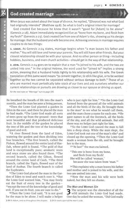 NLT New Believer's Bible: First Steps for New Christians, softcover