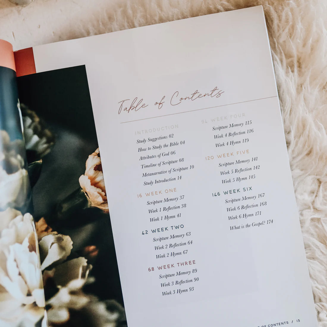 Praise | Psalms 91-120 Bible Study