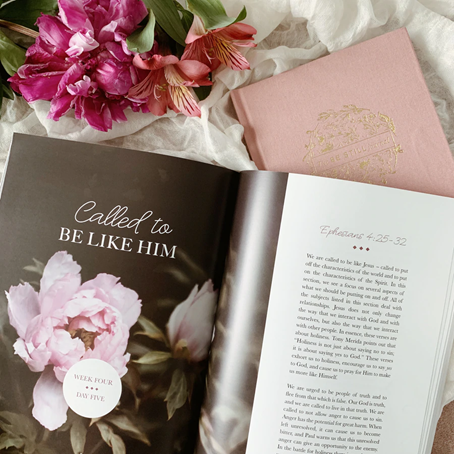 CHOSEN | EPHESIANS STUDY