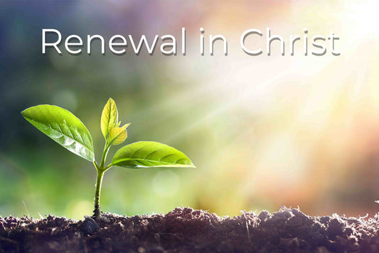 Embracing Renewal in Christ: Miracles and Transformations