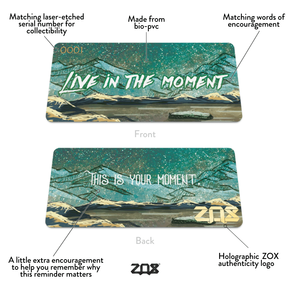 Live In The Moment Bracelet by ZOX