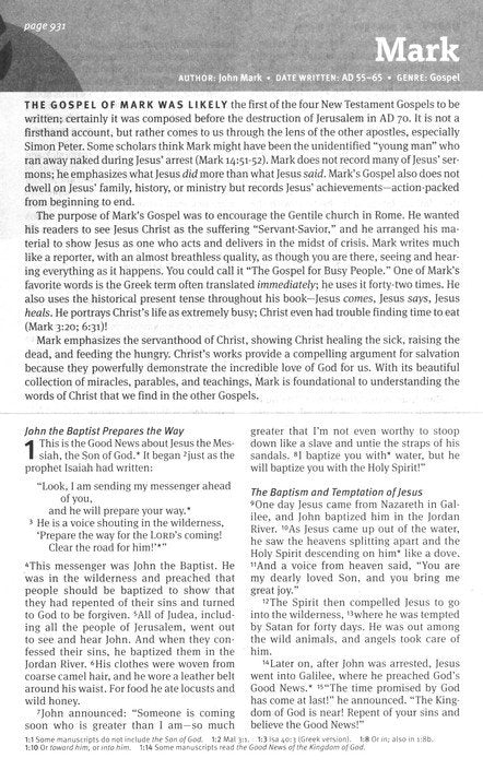 NLT New Believer's Bible: First Steps for New Christians, softcover