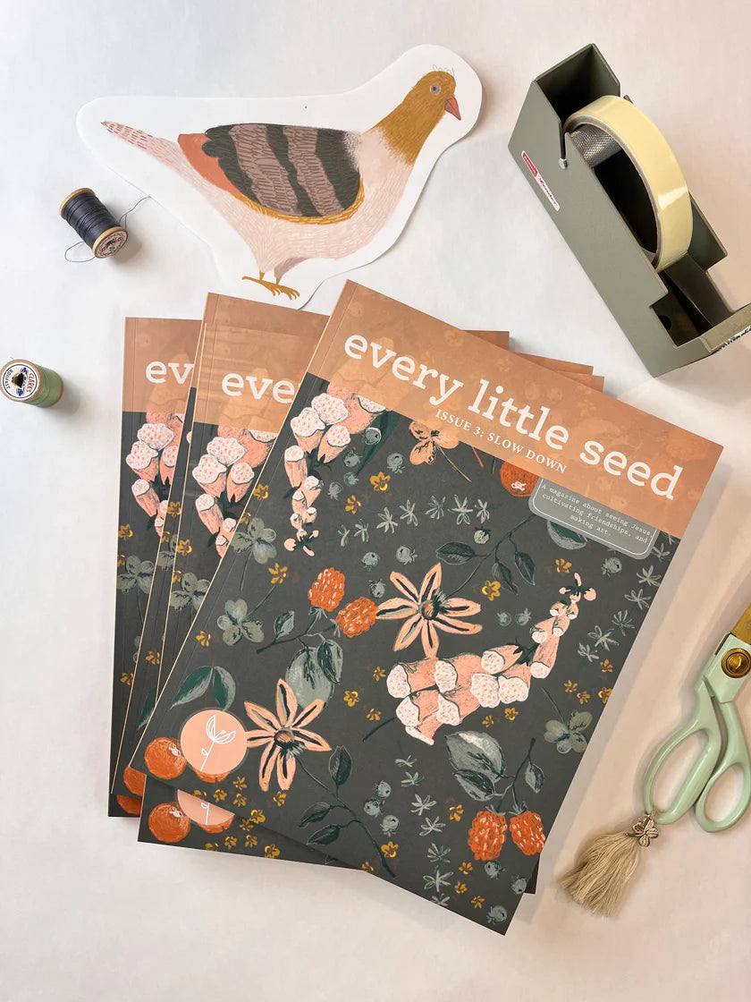 Every Little Seed - A magazine about seeing Jesus, cultivating friendship, and making art