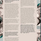 Every Little Seed - A magazine about seeing Jesus, cultivating friendship, and making art