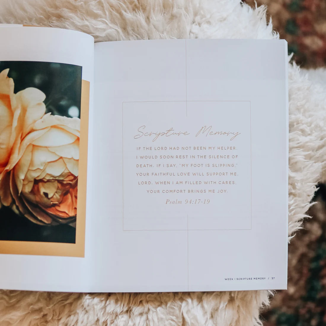 Praise | Psalms 91-120 Bible Study
