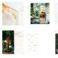 Bella Grace Magazine / Journals